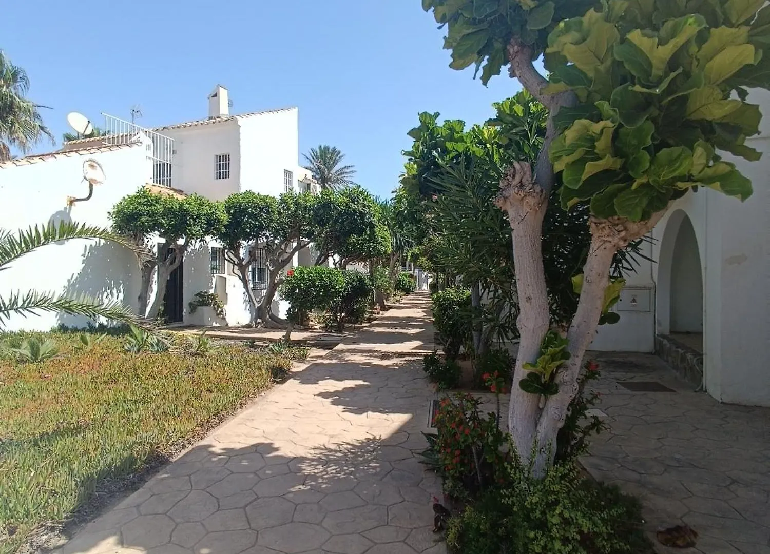 Apartamento Los Mangos 滨海罗克塔斯